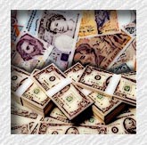 Foreign Currency